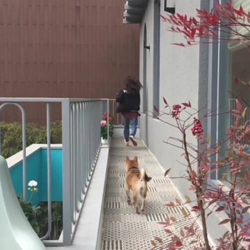 (사진=정유미 인스타그램)
