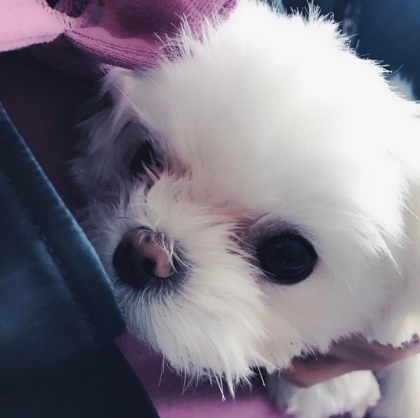 (사진=마크 인스타그램)